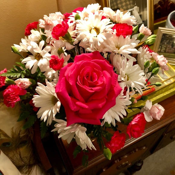 Meet your Posher, Jenny - Picture 3 of 6